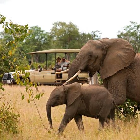 Types of tourism